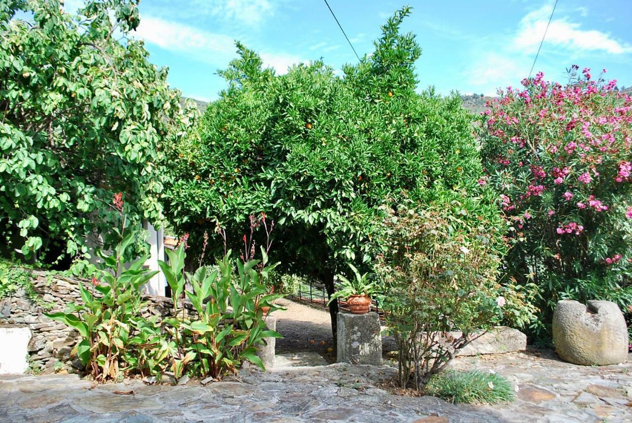 Casa De Mendiz Villa Vale de Mendiz Ngoại thất bức ảnh